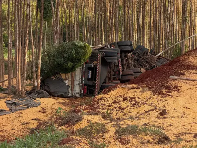 Foto: Ribas Ordinário